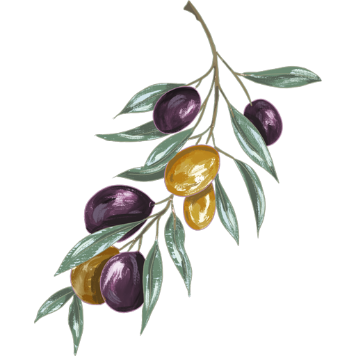 Illustration of an Olive Branch