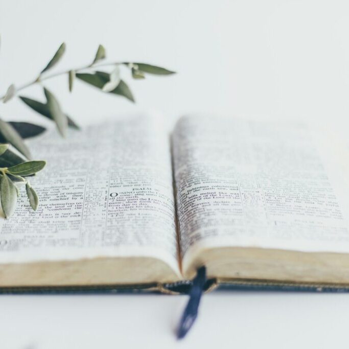 green plant on white book page